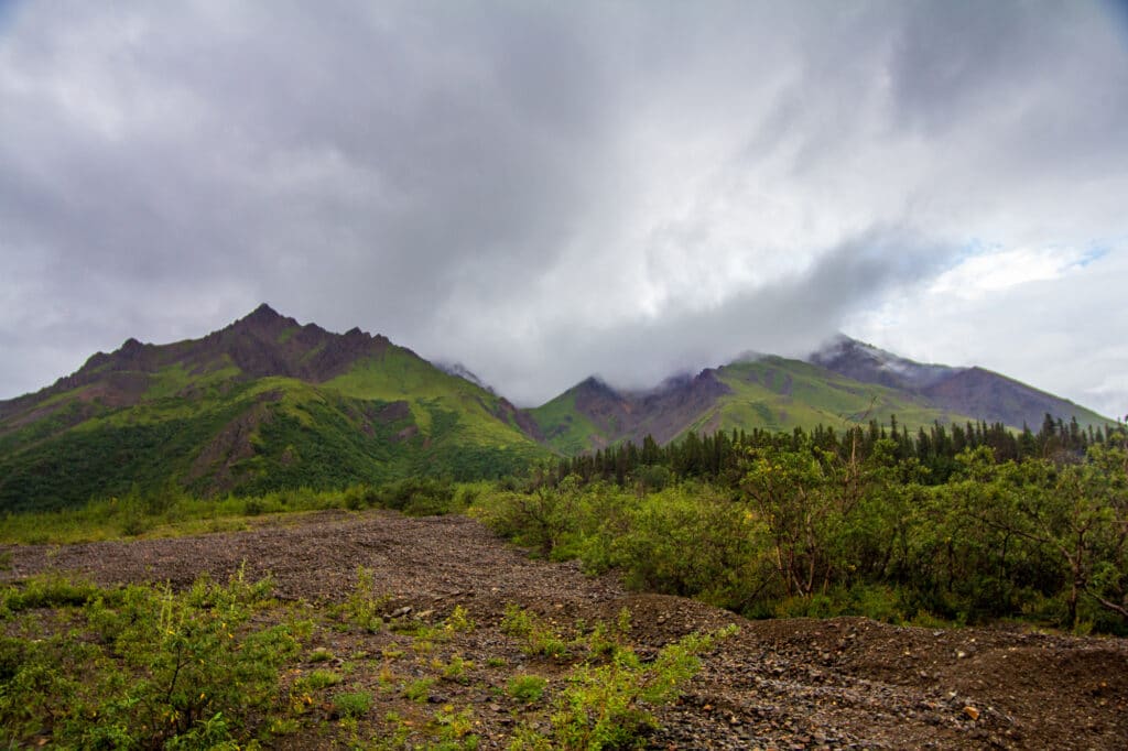 Near Toklat River Station