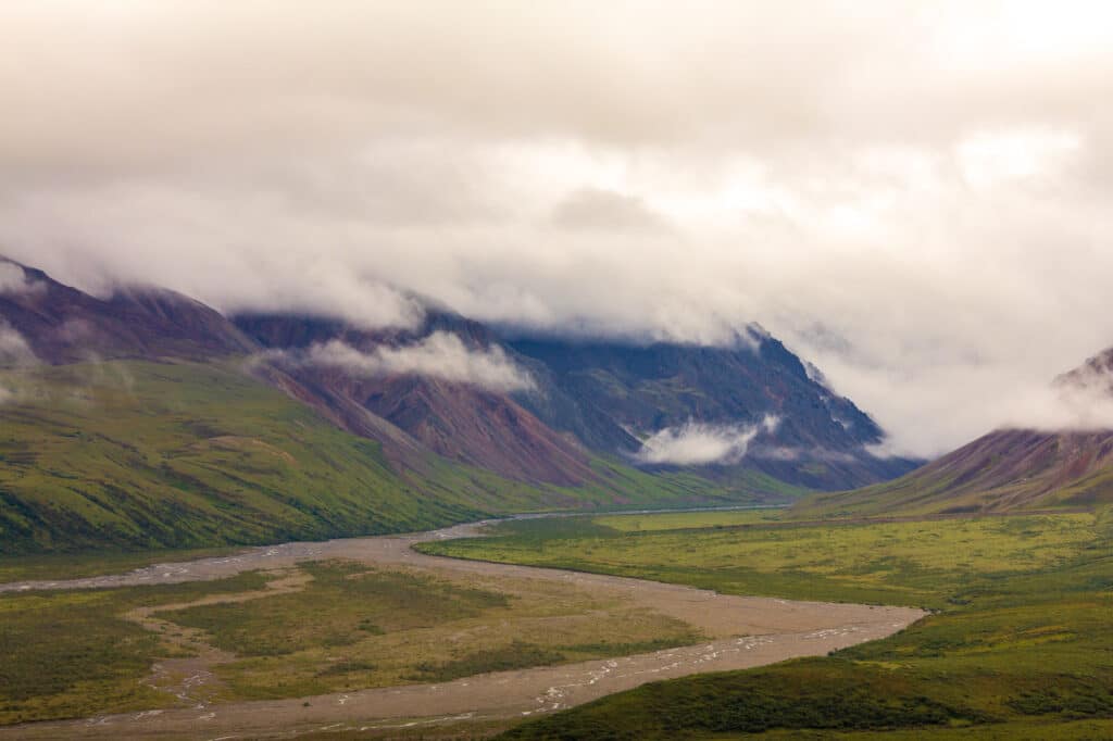 River in Denali