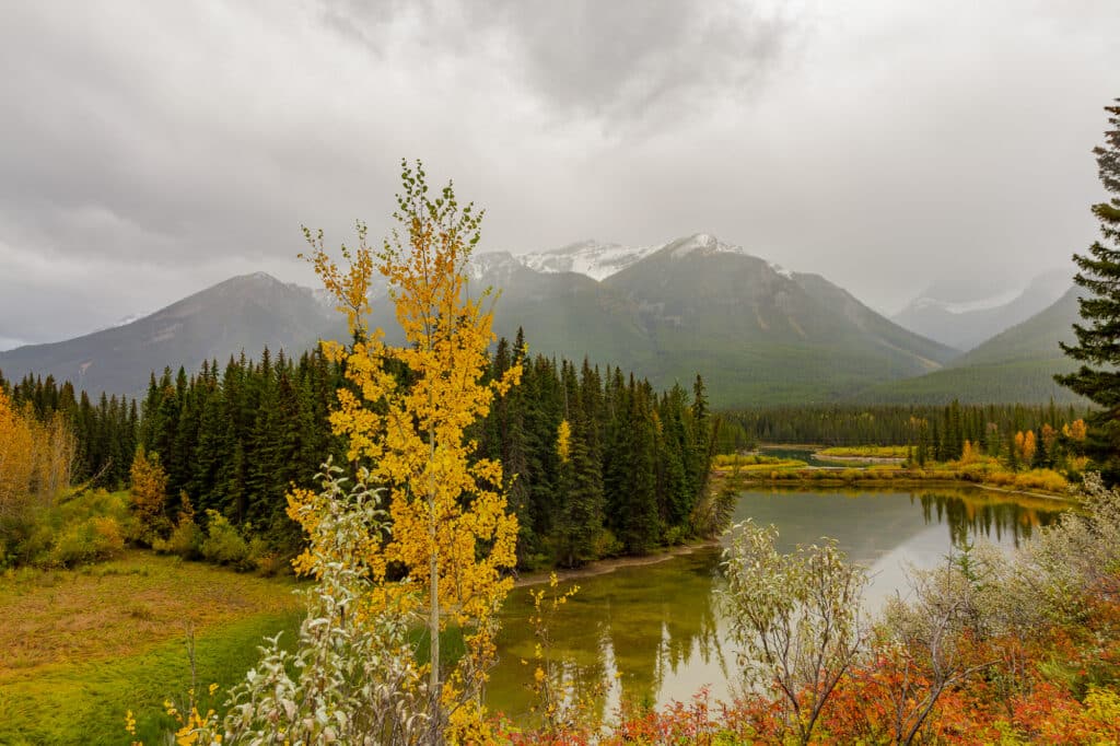 Bow River in Banff National Park