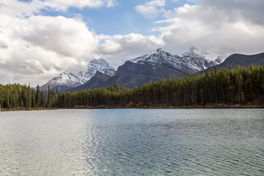 Herbert Lake