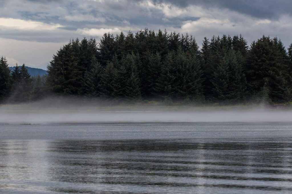 Foggy Beach