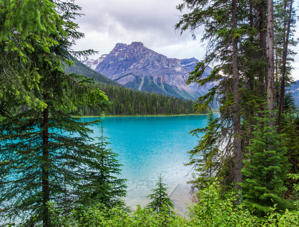 Michael Peak over Emerald Lake in Yoho National Park