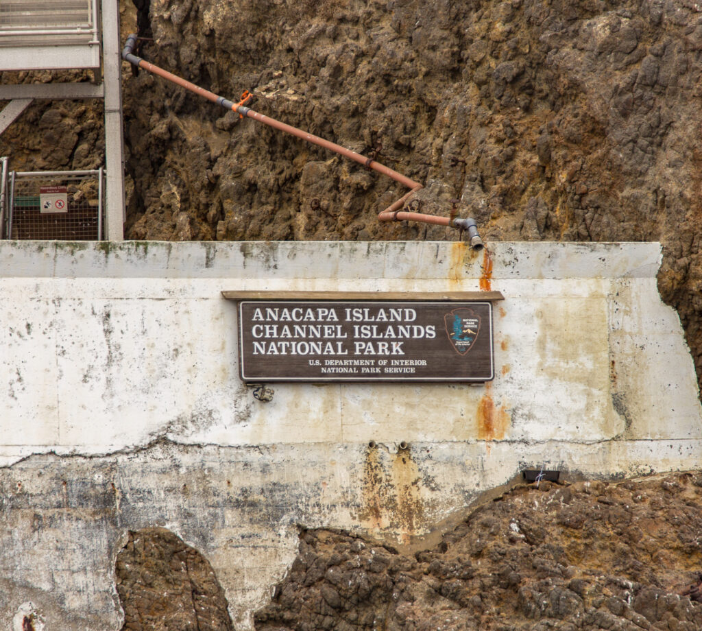 Anacapa Island in Channel Islands National Park