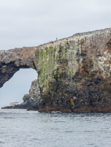 Anacapa Island Arch, Channel Islands National Park