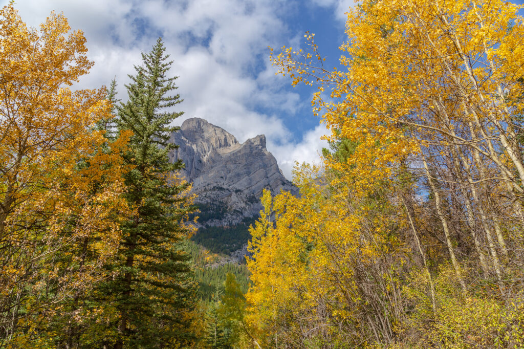 Mount Kidd in Spray Valley Provincial Park - Kananaskis Country