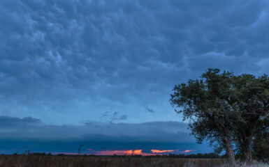 Shelf at Sunset