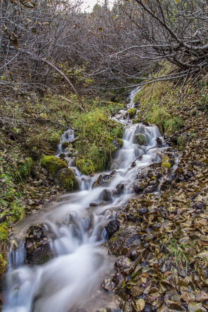 Stream/Waterfall along Hurricane Ridge Road