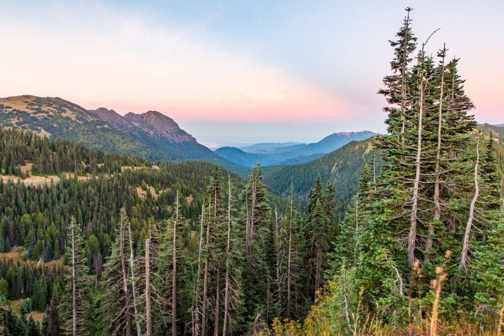 Looking towards the sea near Hurricane Ridge in Olympic National Park