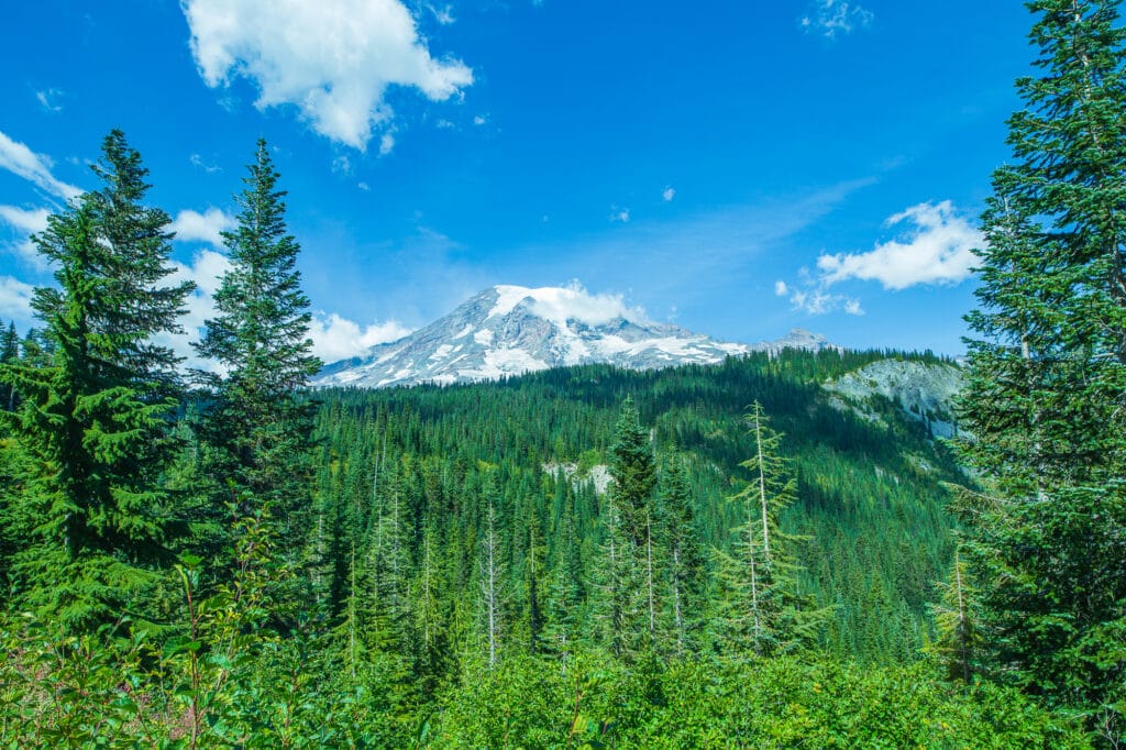 The mountain was out on this beautiful September day on Mount Rainier