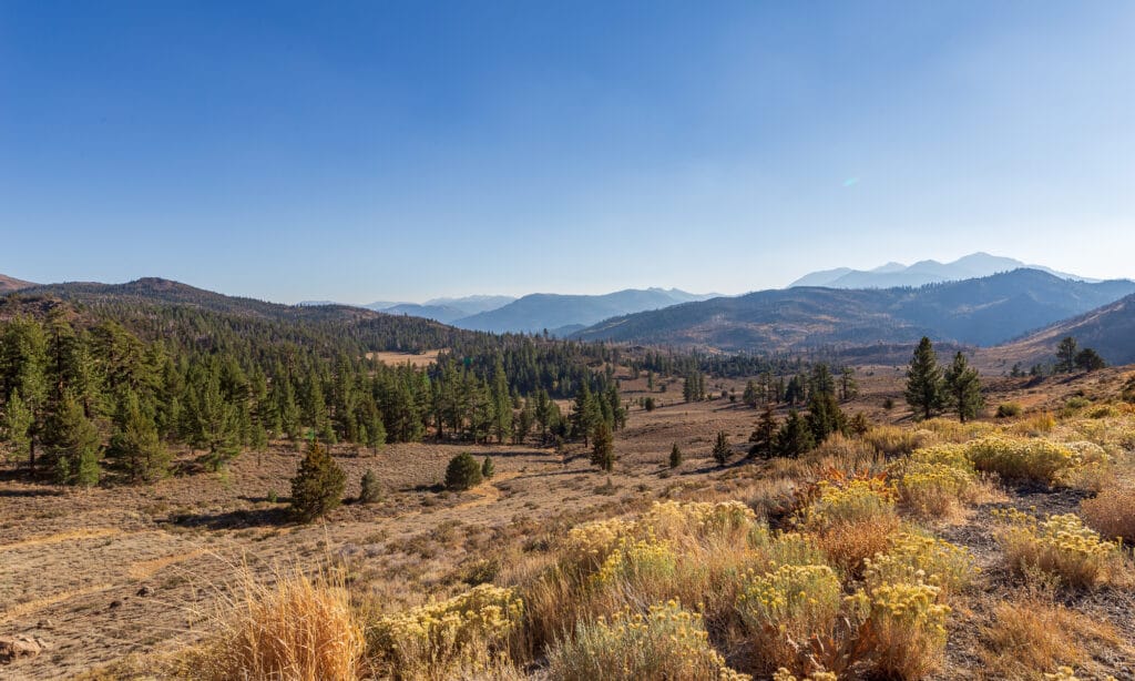 Sierra Nevada Mountains