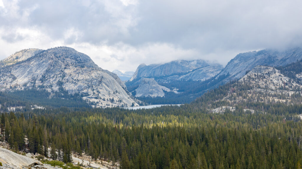 Tenaya Lake Viewpoint