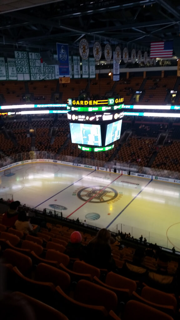 Red Wings in Boston