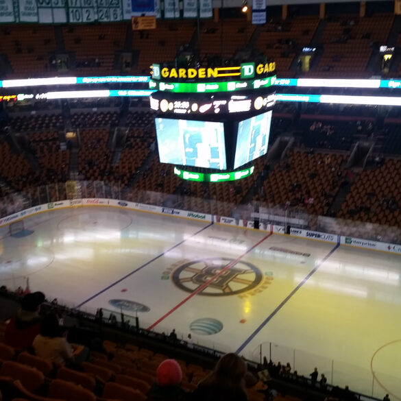 Red Wings in Boston