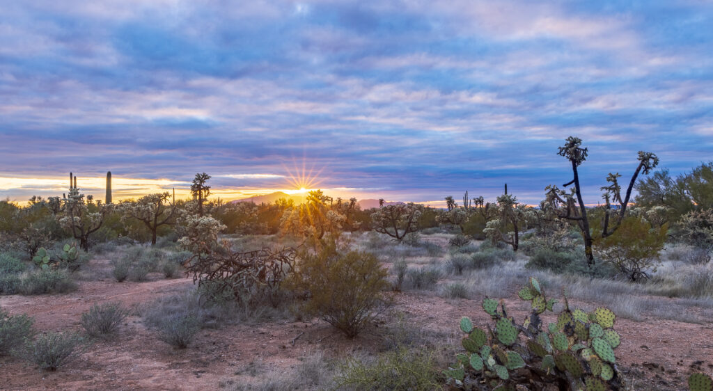 Arizona Sunset