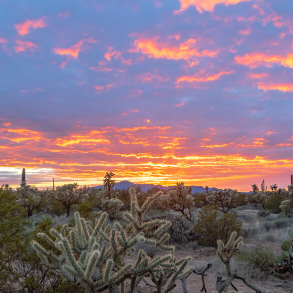 Sunset in Arizona during a cloudy day