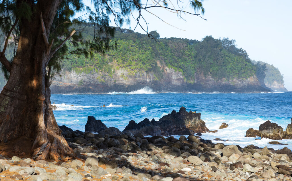 Laupāhoehoe Point