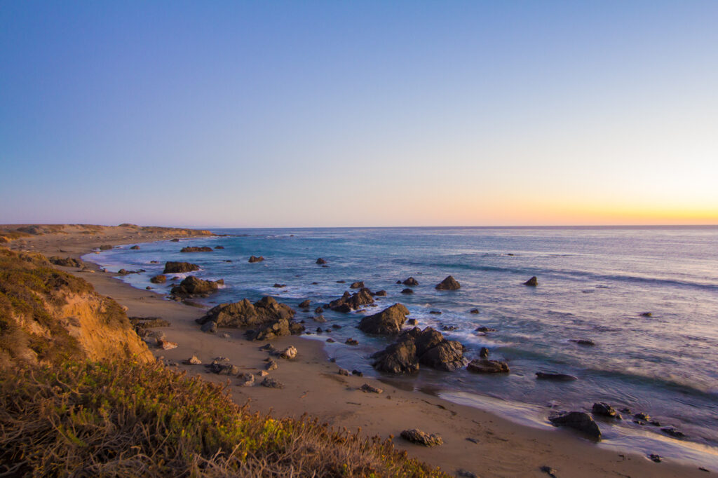 Piedras Blancas Elephant Seal Rookery