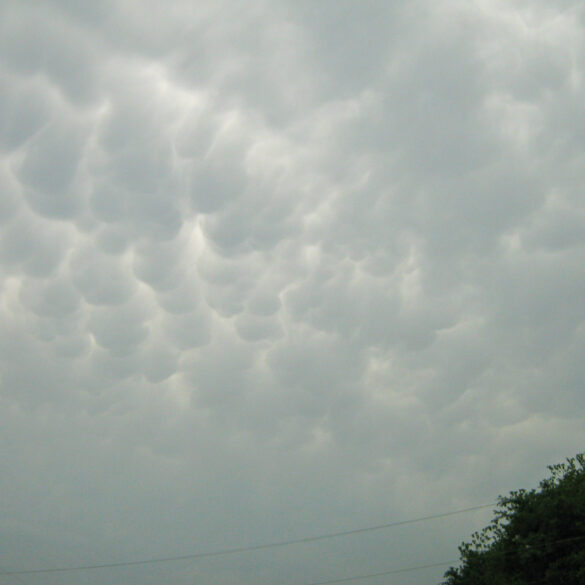 Mammatus