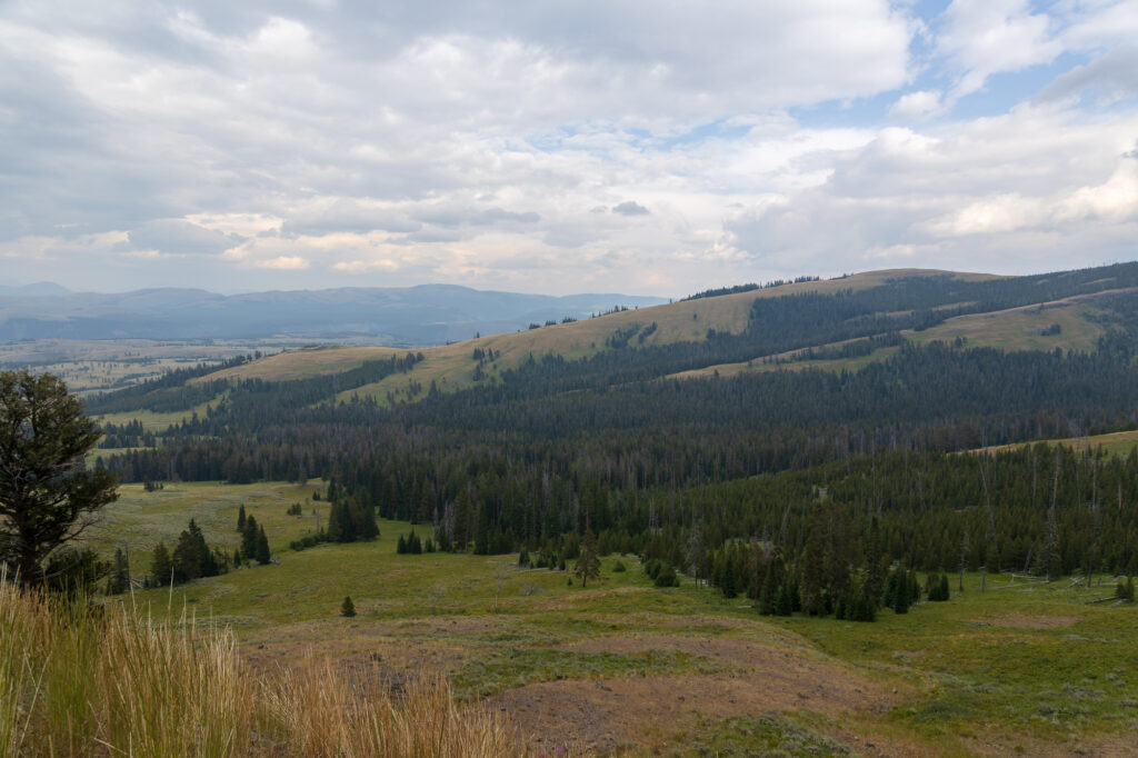 Yellowstone National Park Views