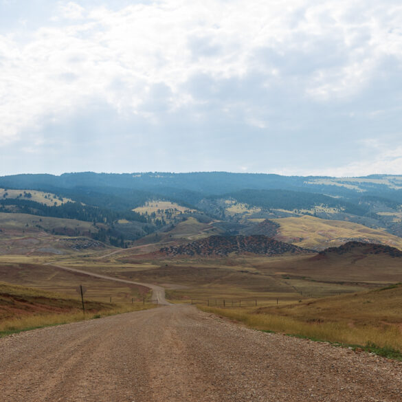 Wyoming Hillside